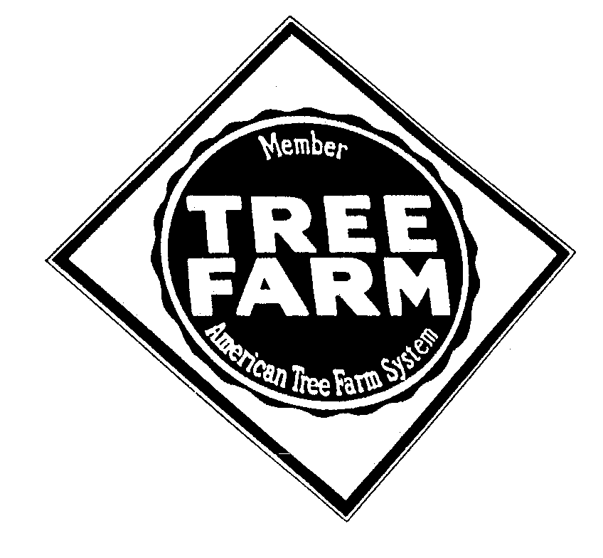Trademark Logo TREE FARM MEMBER AMERICAN TREE FARM SYSTEM
