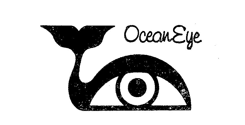  OCEAN EYE