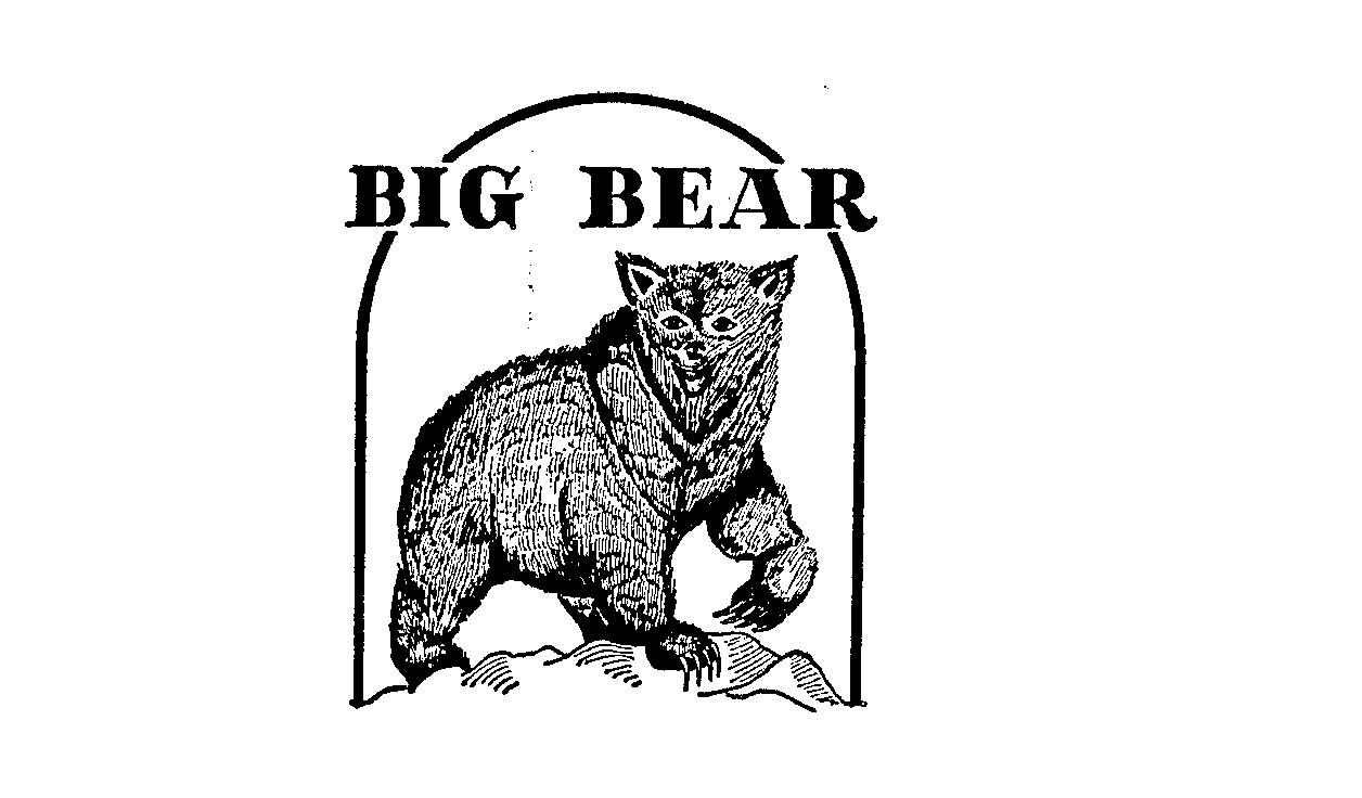 Trademark Logo BIG BEAR