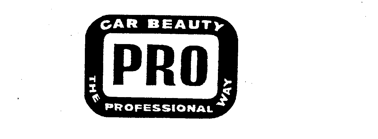  CAR BEAUTY PRO THE PROFESSIONAL WAY