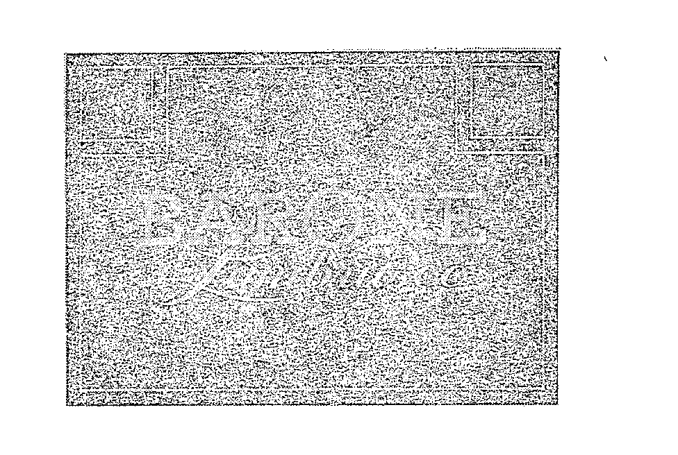 Trademark Logo BARONE LAMBRUSCO