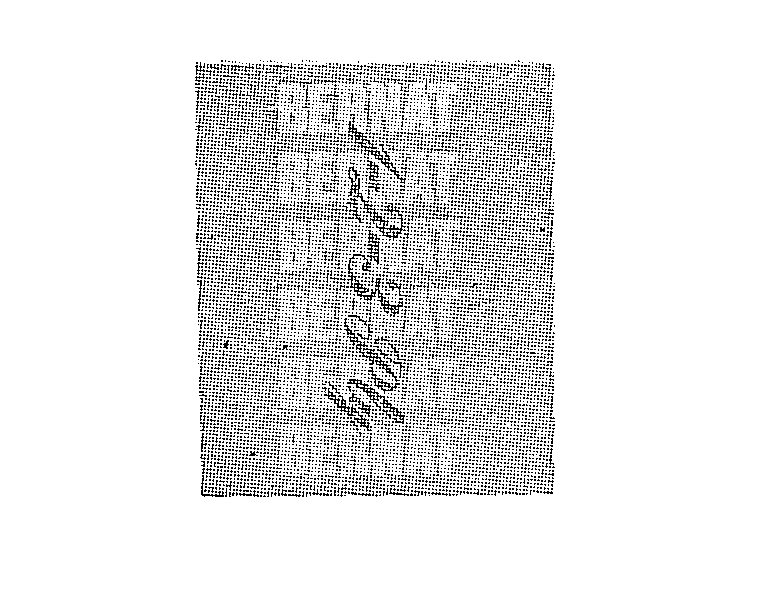  BERNAT 1-2-3 PLY