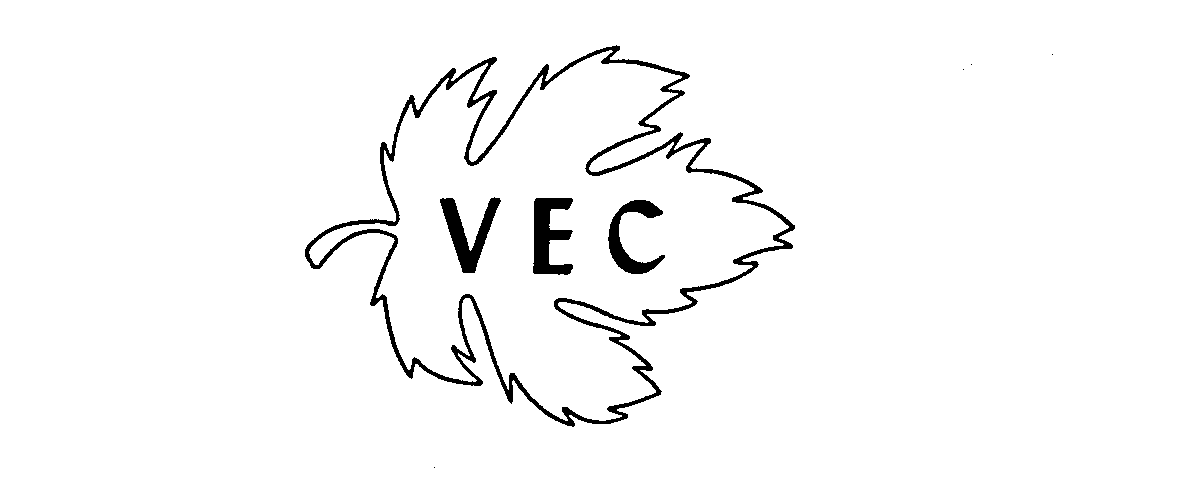  V E C