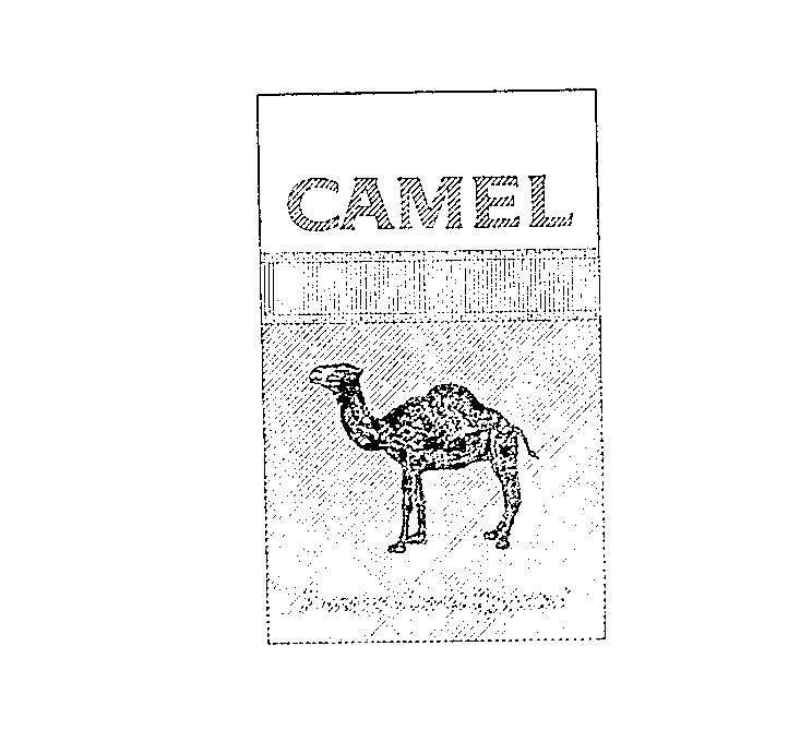 CAMEL