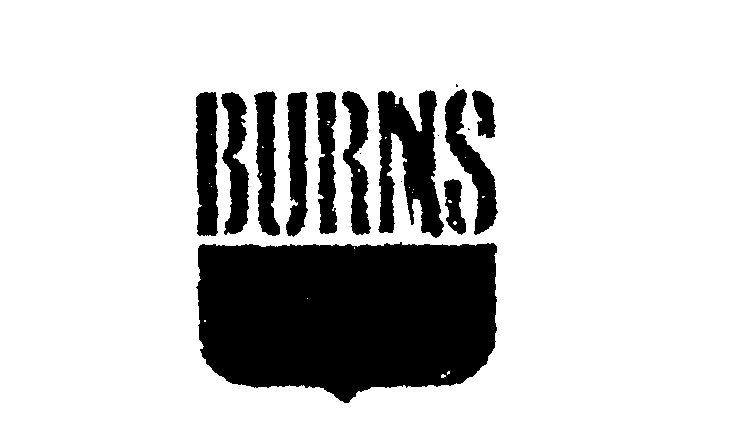  BURNS