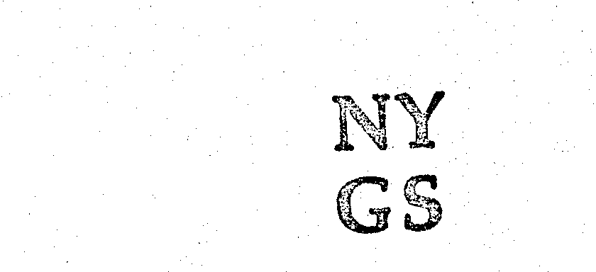  NY GS