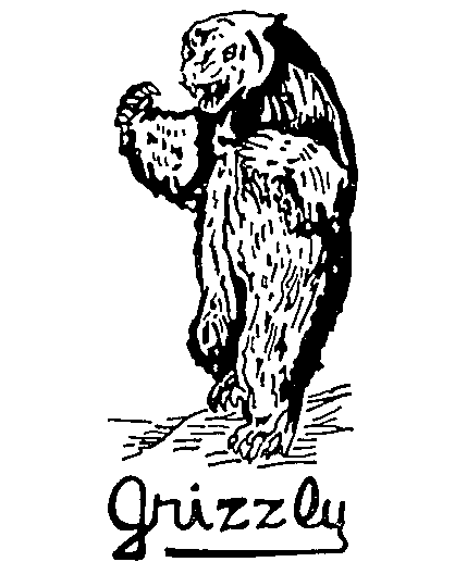  GRIZZLY