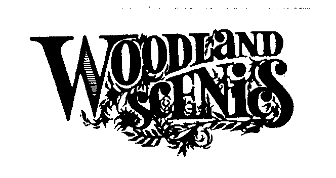  WOODLAND SCENICS