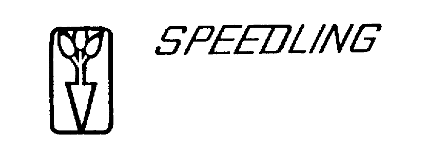  SPEEDLING