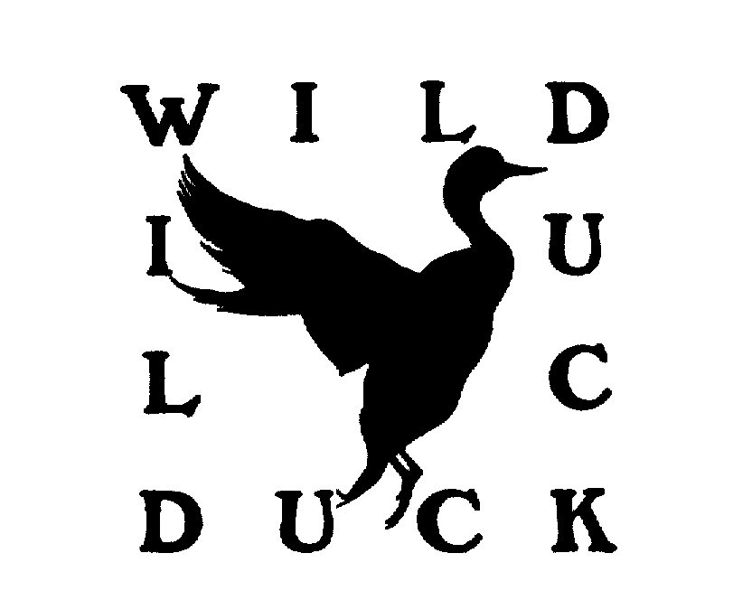  WILD DUCK