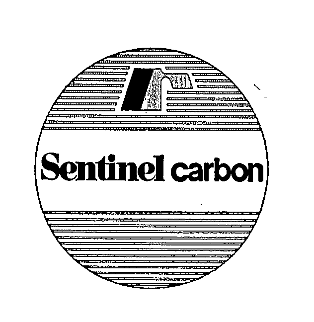  SENTINEL CARBON R