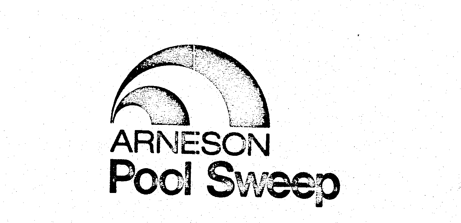  ARNESON POOL SWEEP