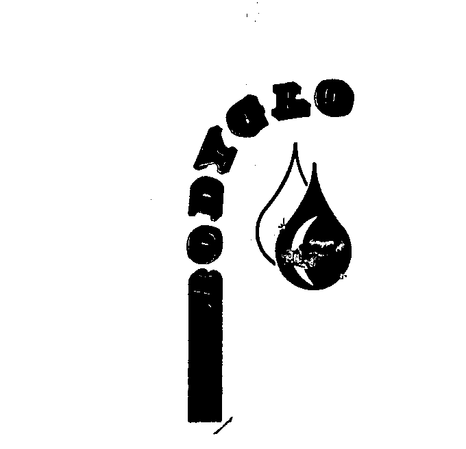 Trademark Logo BODYGLO