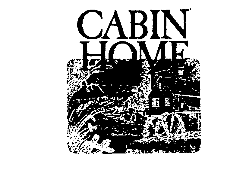  CABIN HOME