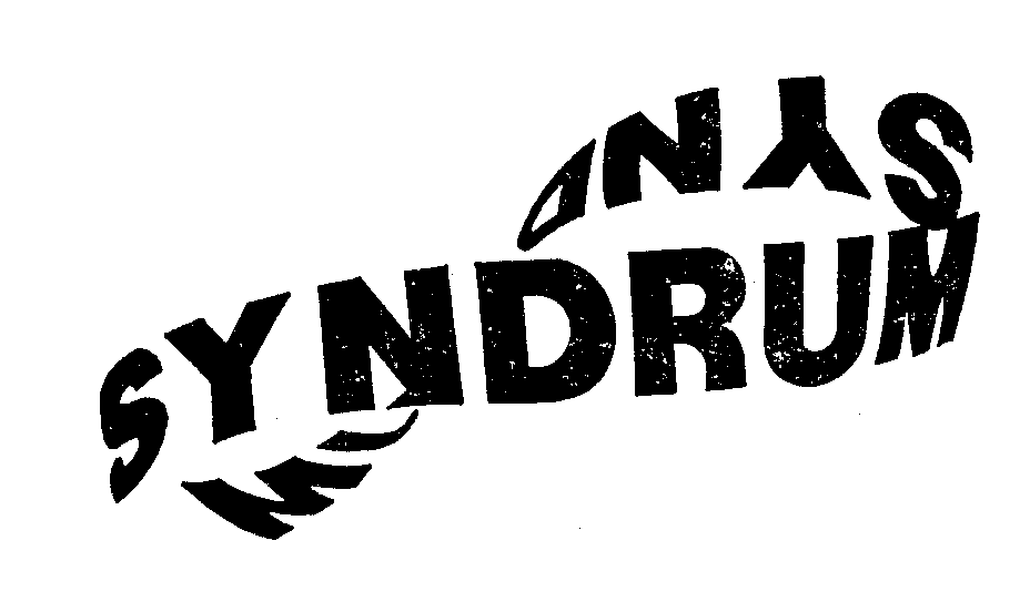  SYNDRUM