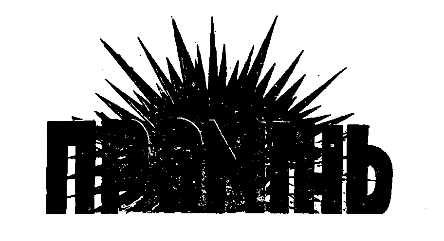 Trademark Logo PROMIN