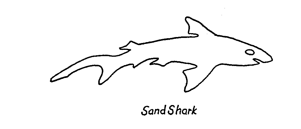 SAND SHARK