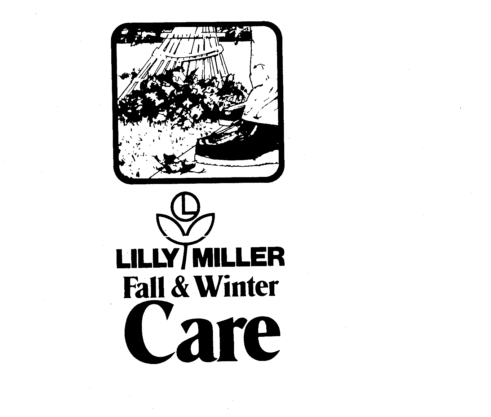  LILLY MILLER FALL &amp; WINTER CARE