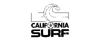 Trademark Logo C CALIFORNIA SURF