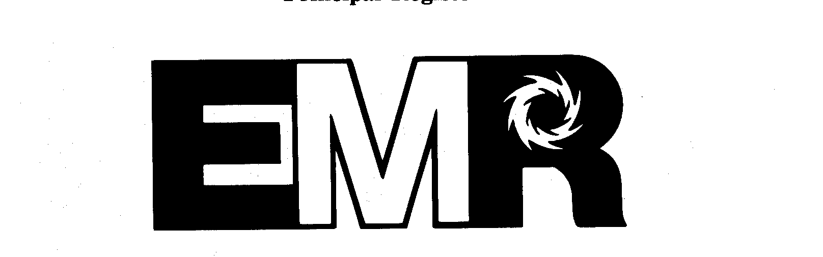 Trademark Logo EMR