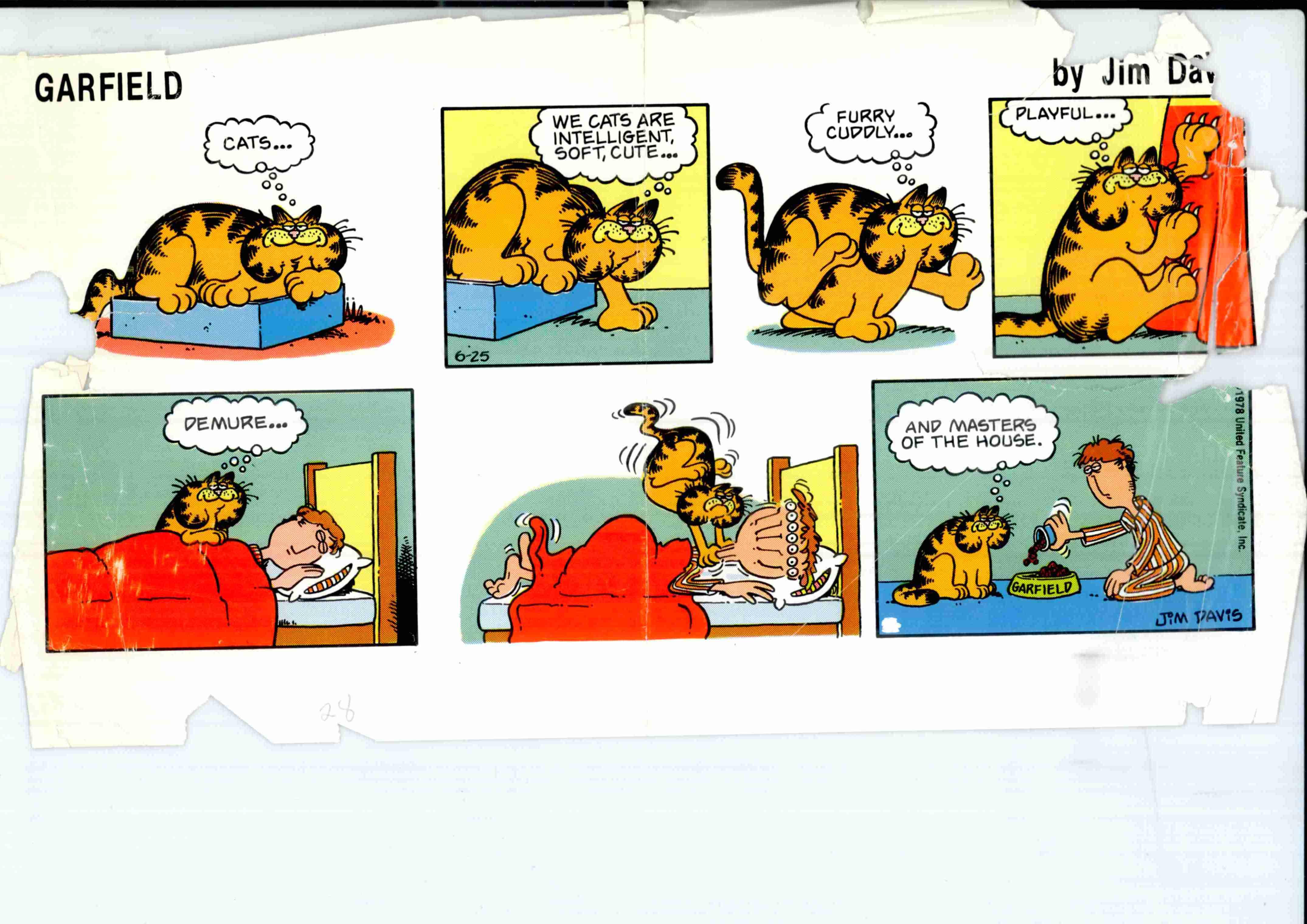  GARFIELD