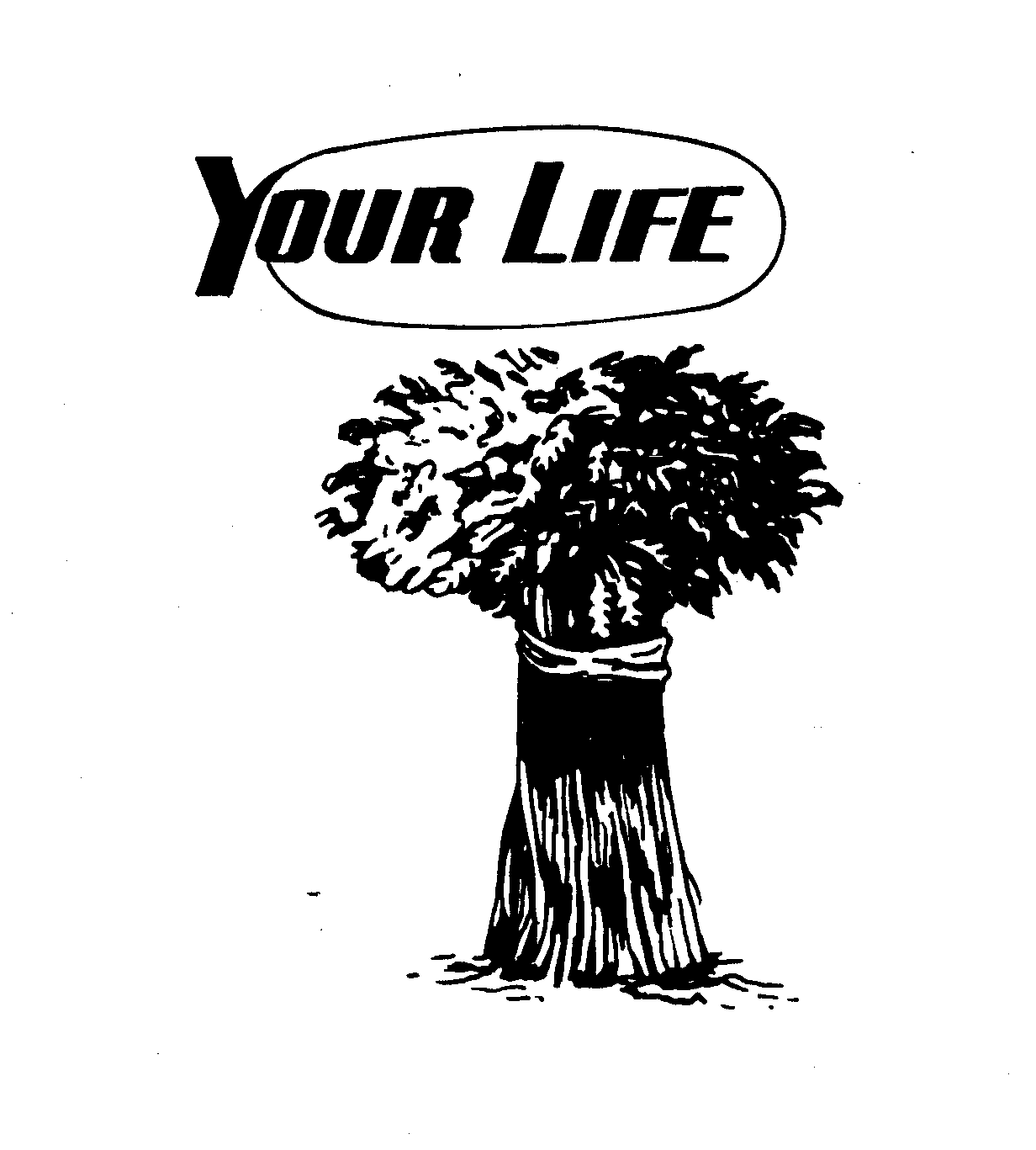 YOUR LIFE