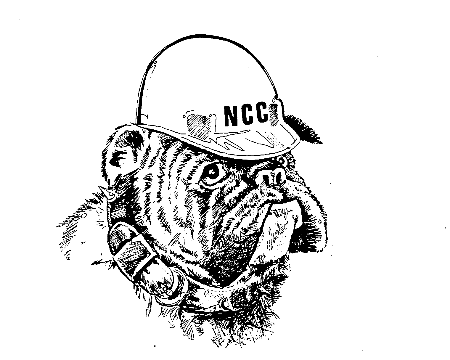 NCC