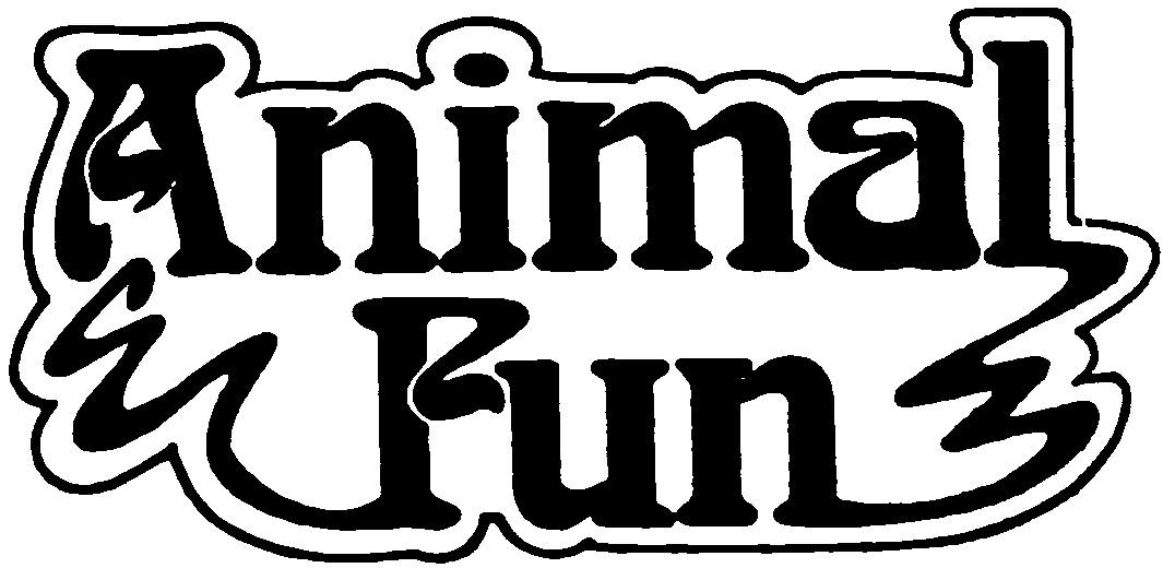  ANIMAL FUN