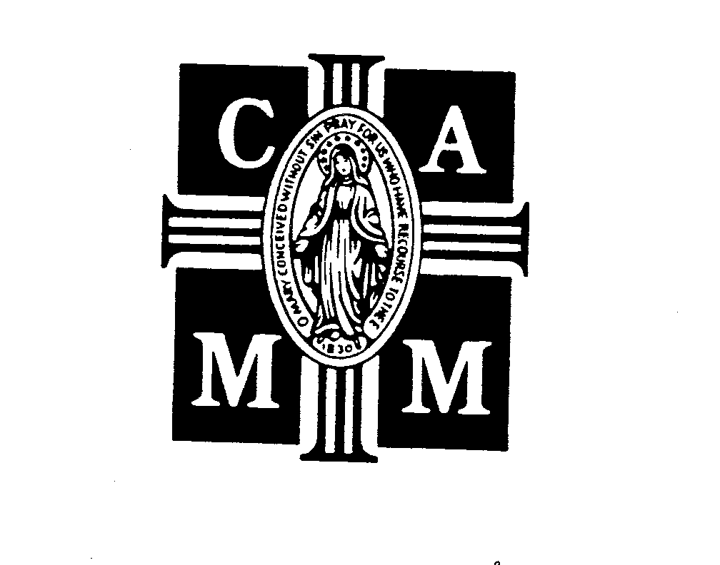Trademark Logo CAMM