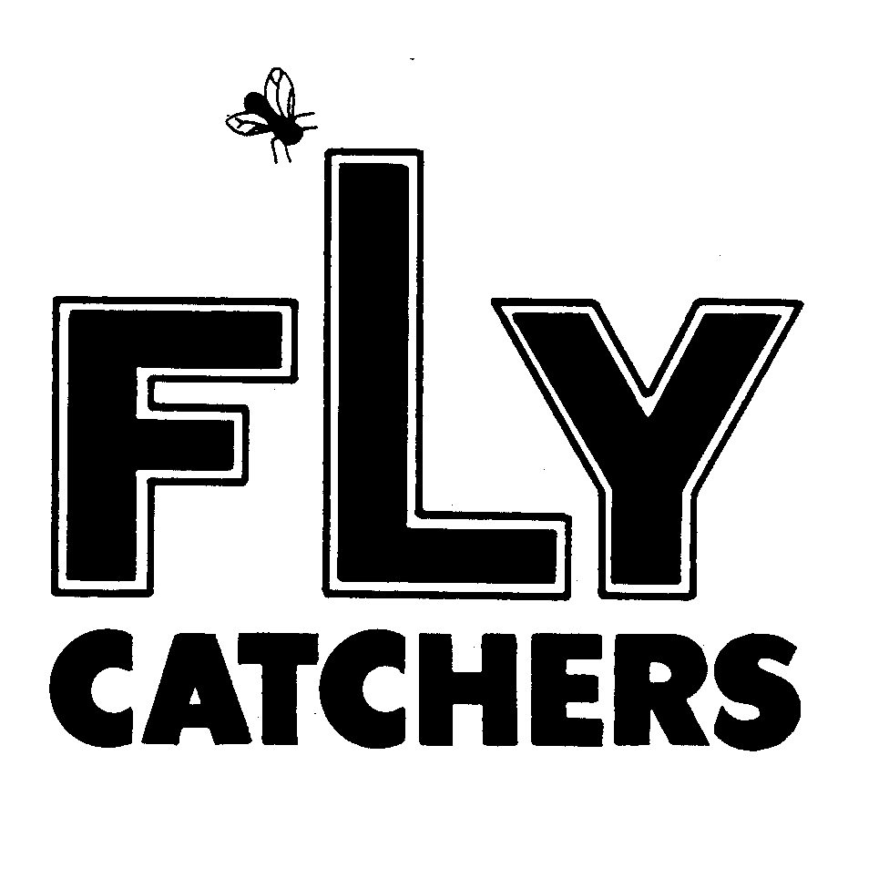 FLY CATCHERS