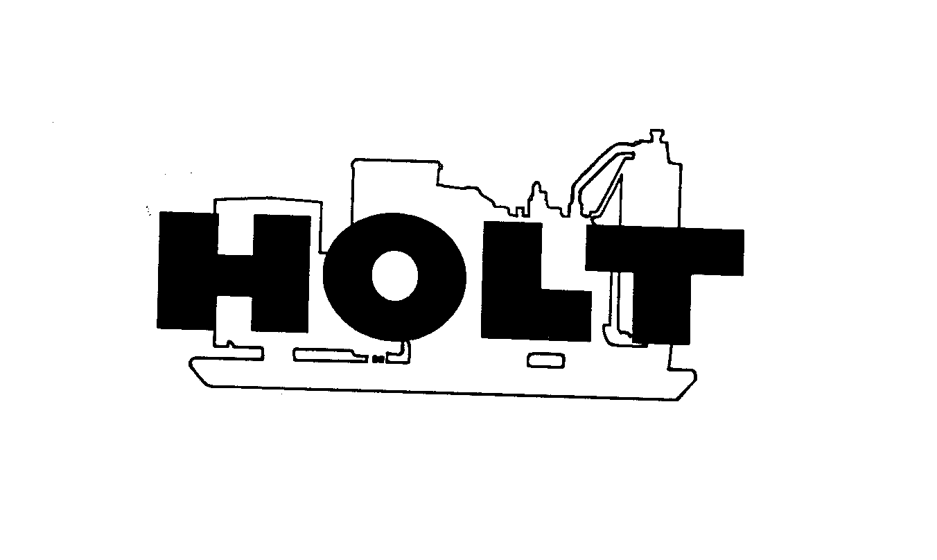 Trademark Logo HOLT