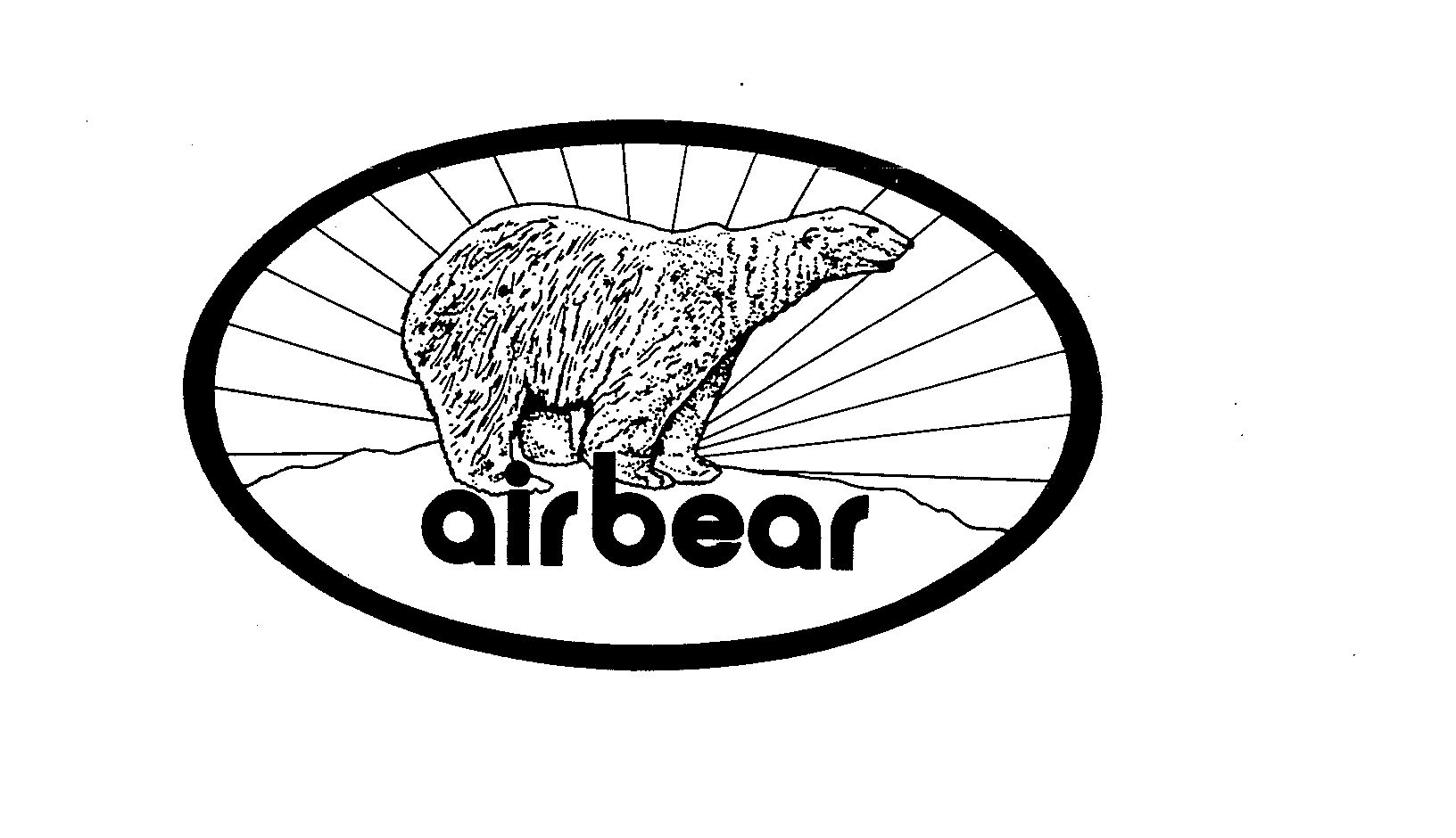 AIR BEAR