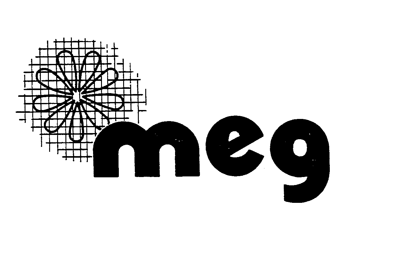 MEG