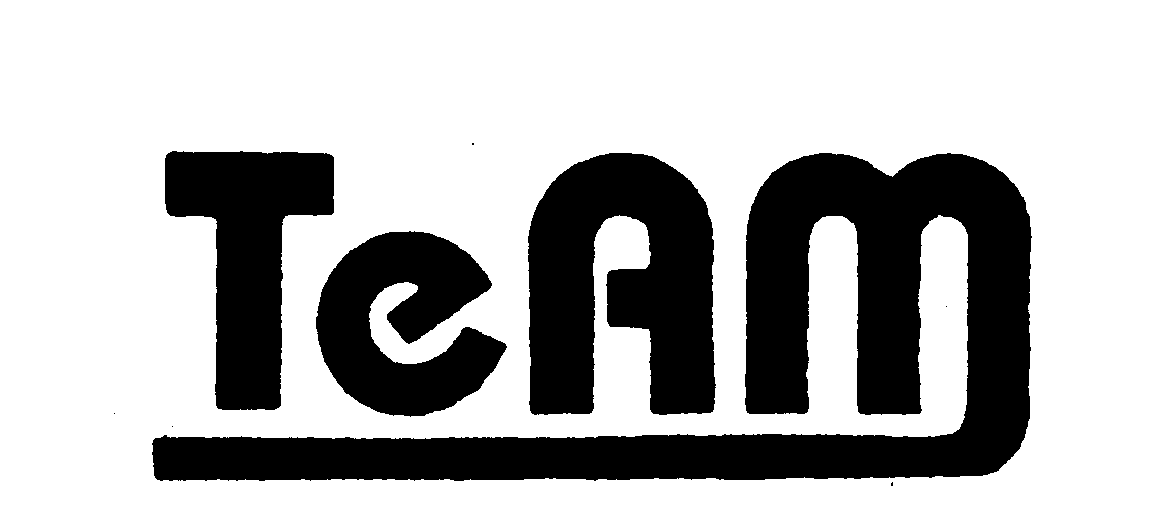 Trademark Logo TEAM