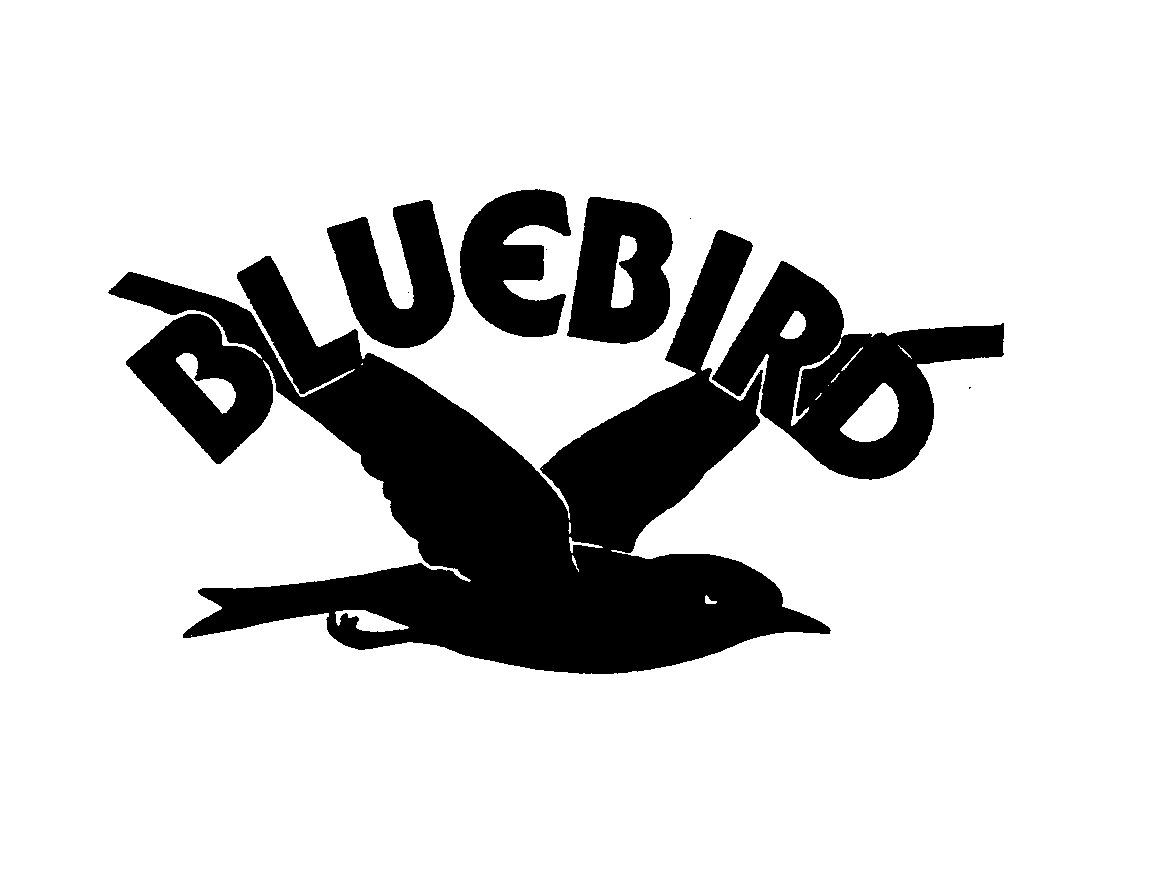  BLUE BIRD