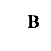 Trademark Logo B