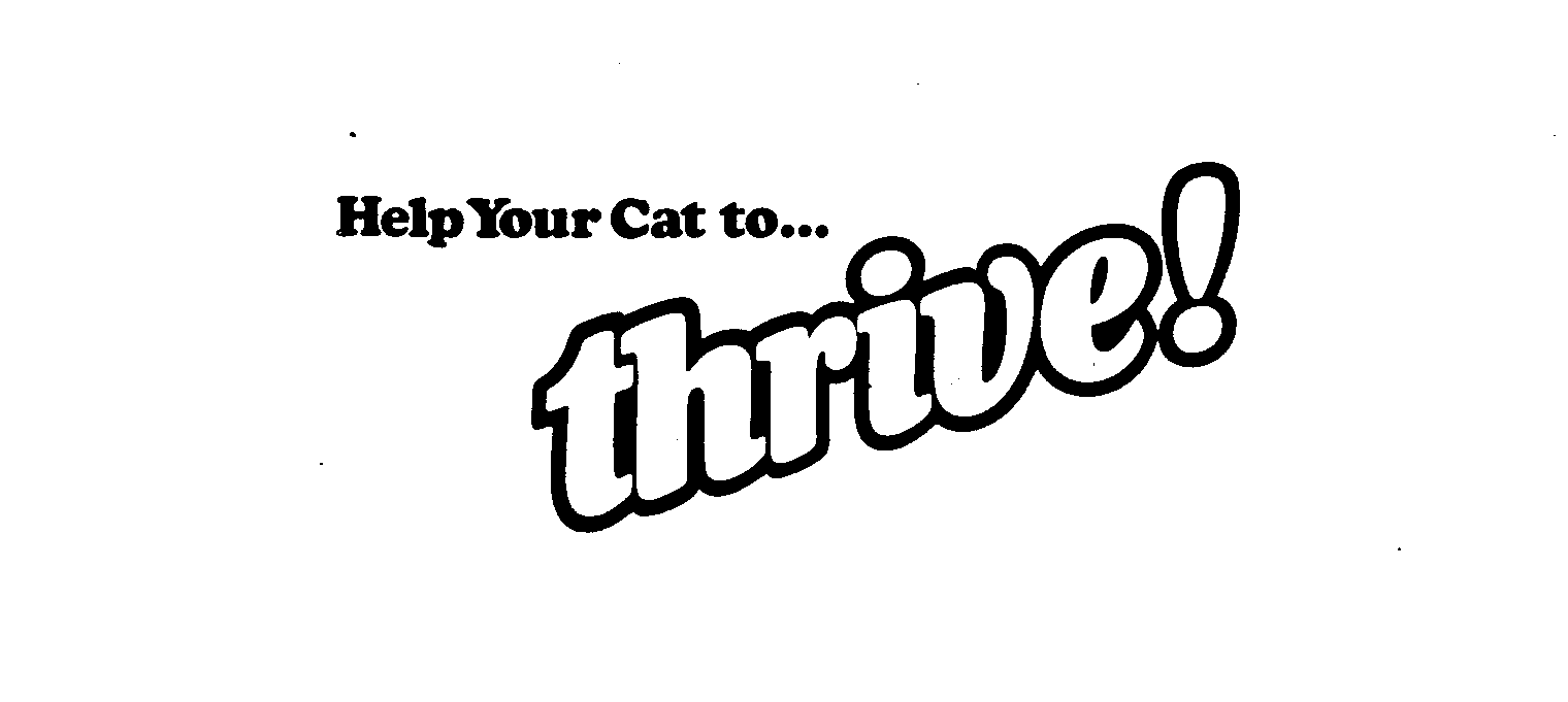  HELP YOUR CAT TO... THRIVE!