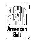 Trademark Logo A AMERICAN SALT