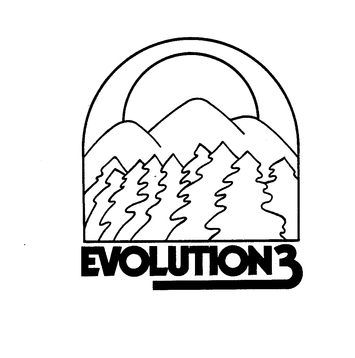 Trademark Logo EVOLUTION 3