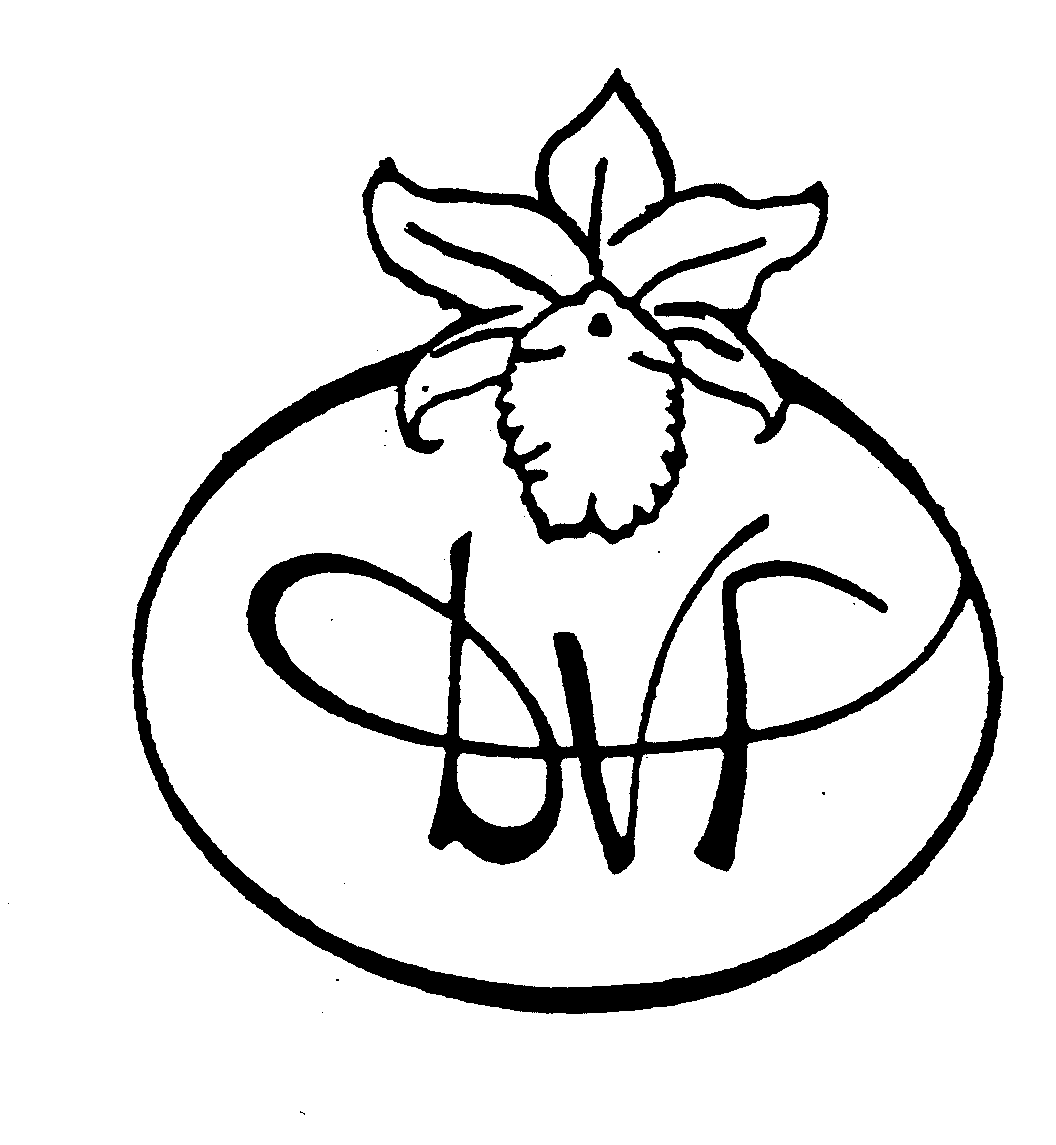 Trademark Logo DVF