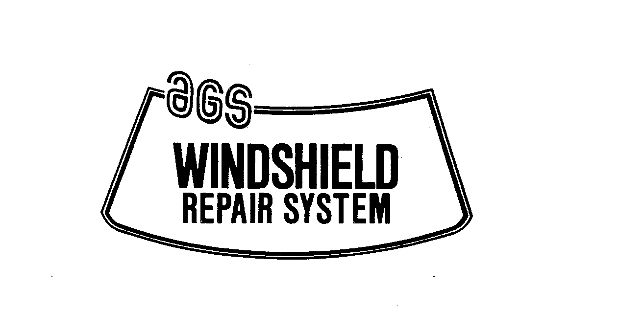  AGS WINDSHIELD REPAIR SYSTEM