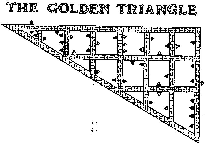  THE GOLDEN TRIANGLE