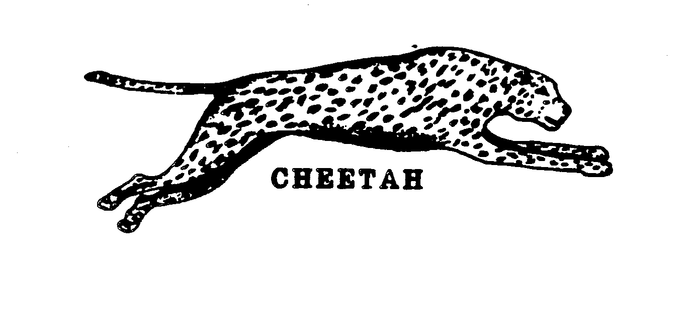  CHEETAH