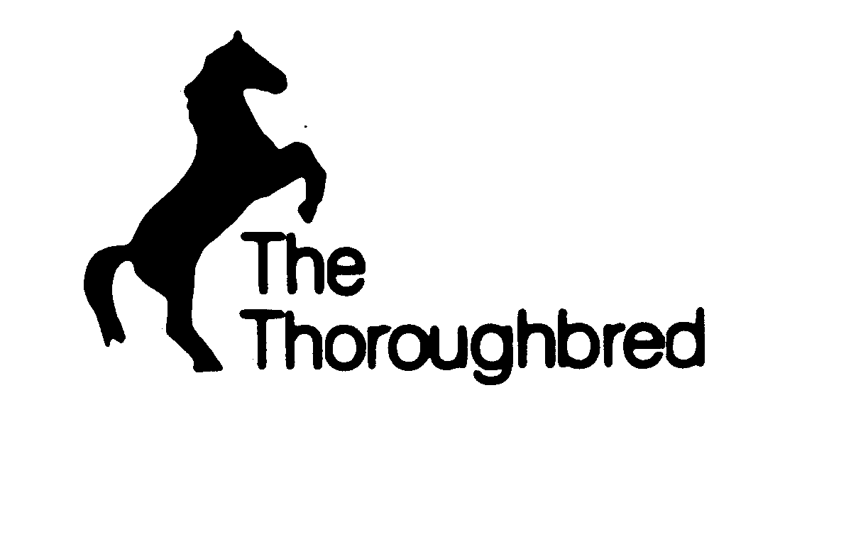  THE THOROUGHBRED