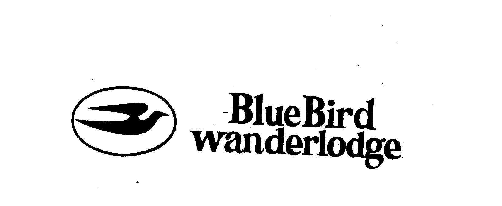  BLUE BIRD WANDERLODGE