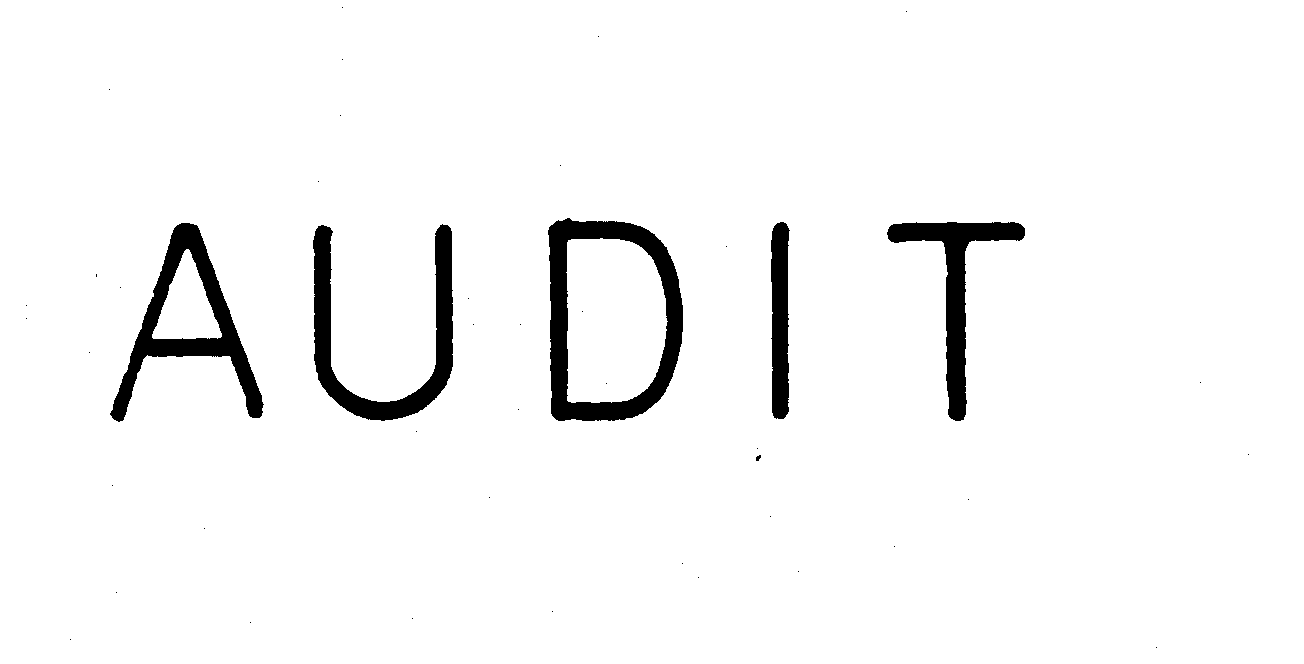 Trademark Logo AUDIT