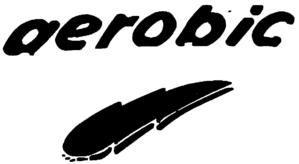 Trademark Logo AEROBIC