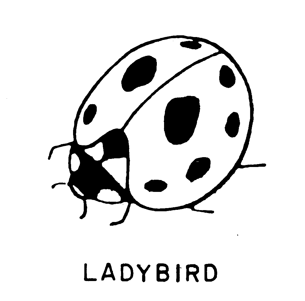 LADYBIRD