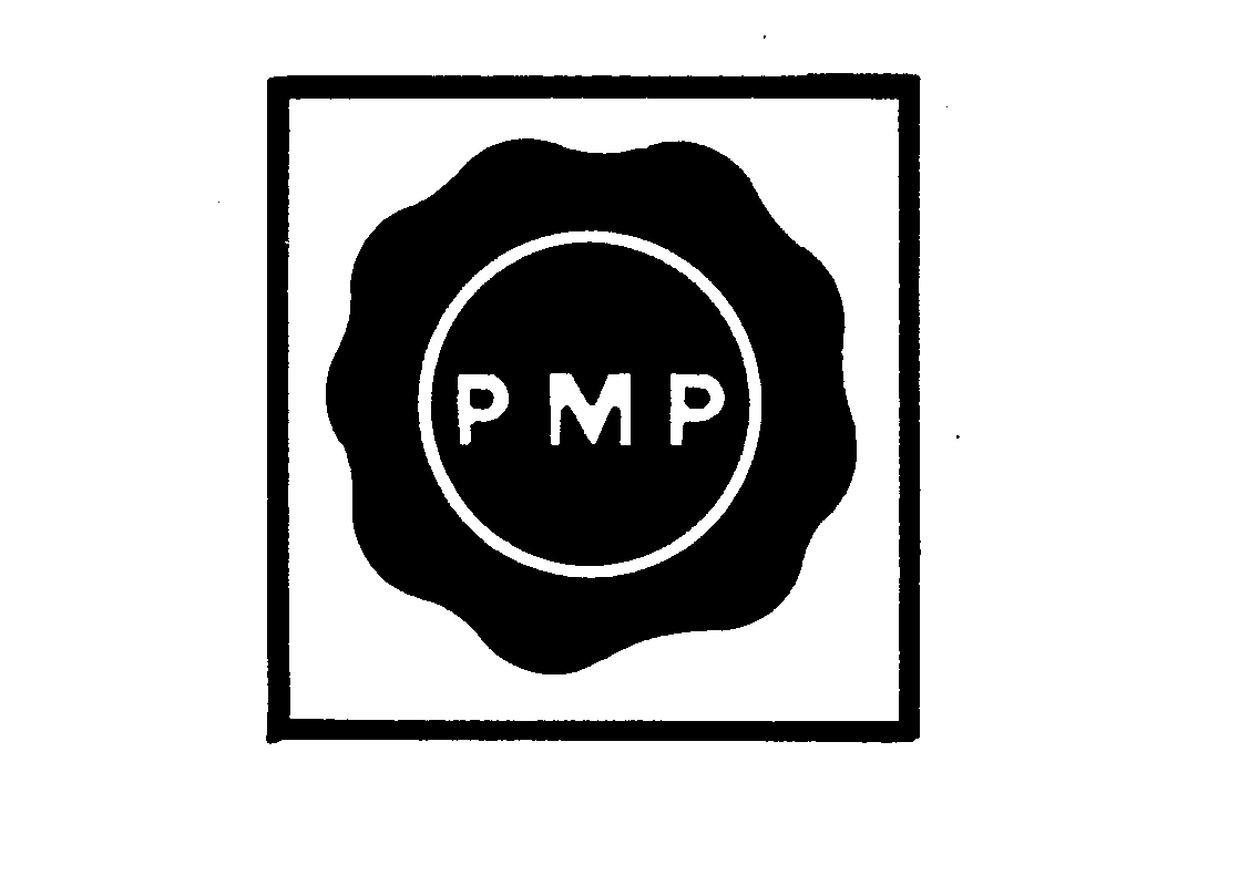  PMP