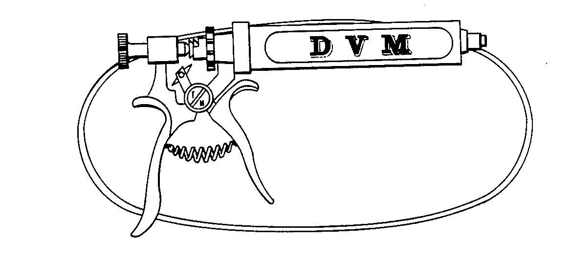 Trademark Logo DVM